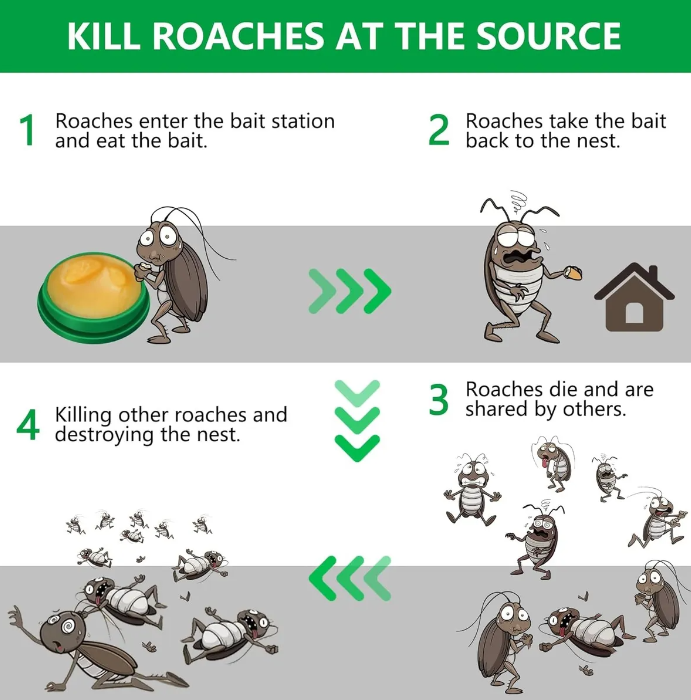 Repelente De Cucarachas 24 pz