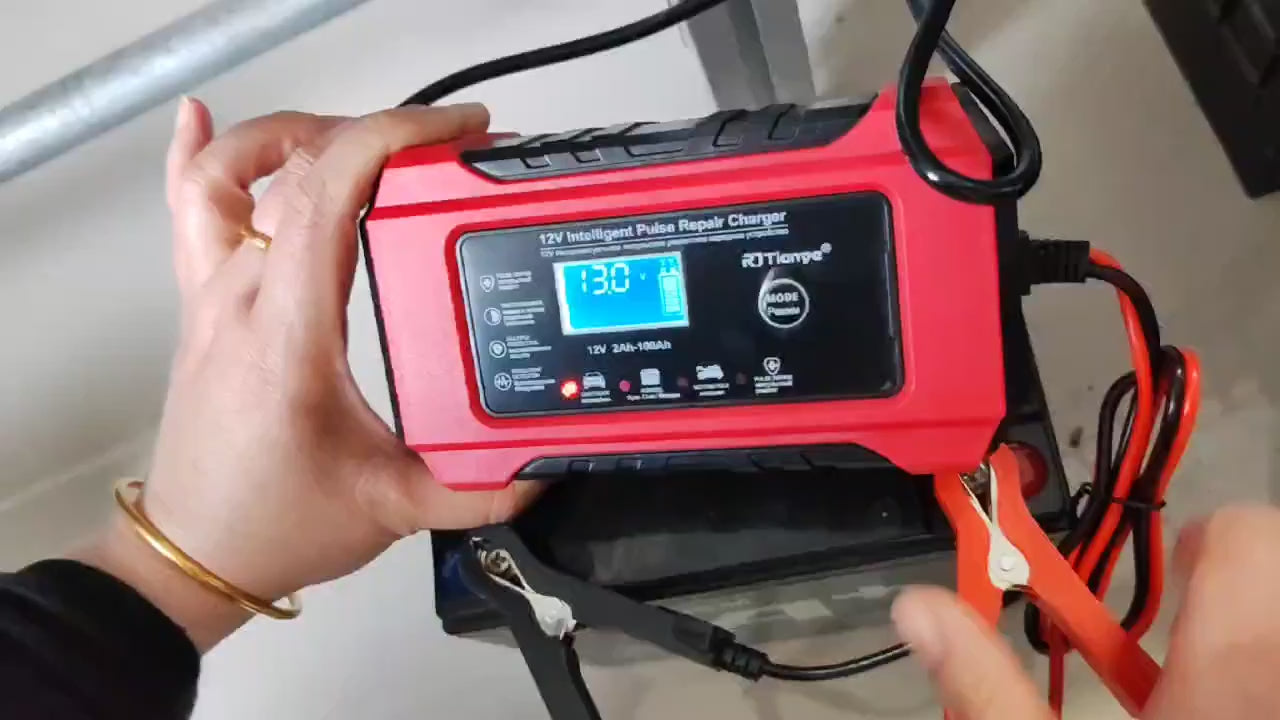 Cargador de Bateria de Pulsos 12V